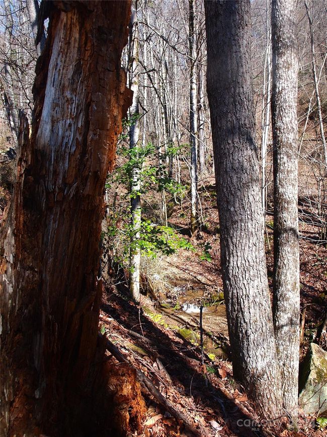 664 Woodfin Rd, House other with 2 bedrooms, 1 bathrooms and null parking in Sylva NC | Image 28