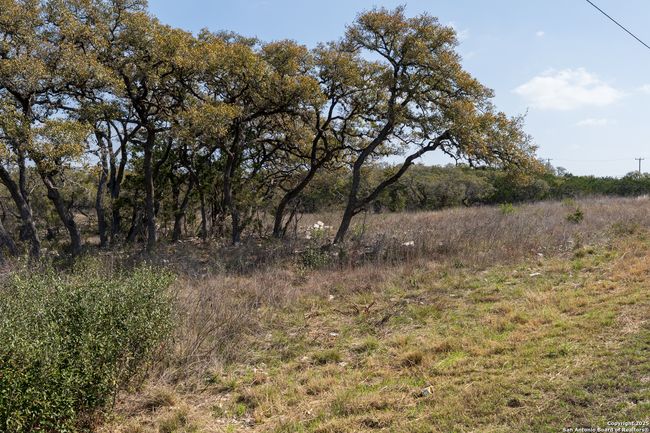 114 County Road 2721, Home with 0 bedrooms, 0 bathrooms and null parking in Mico TX | Image 9