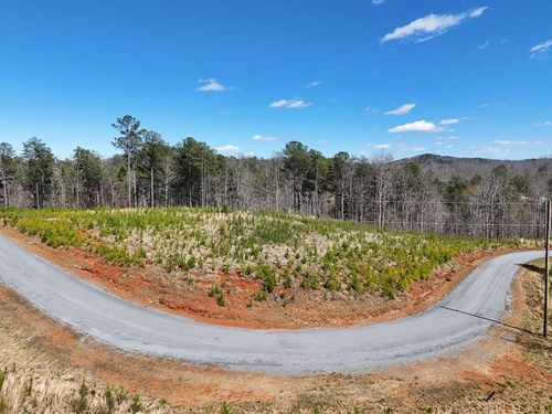 155 Shallow Water Trail, Talking Rock, GA, 30175 | Card Image