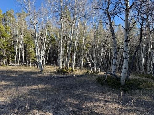 6.44 acres Trail Road, Casper, WY, 82601 | Card Image