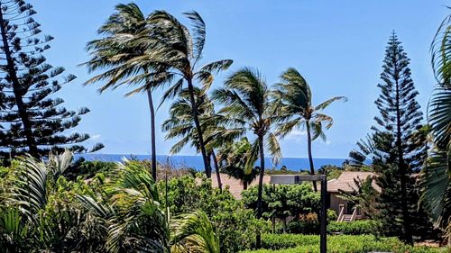 238-50 Kepuhi Pl, Maunaloa, HI, 96770 | Card Image