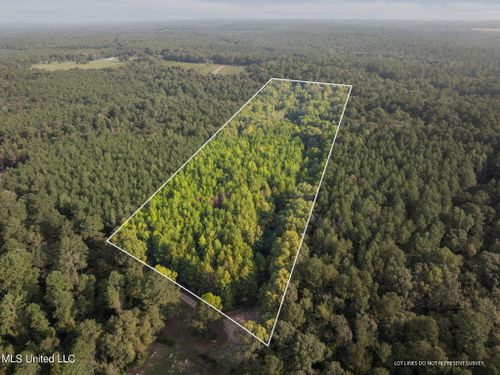 13.6 +/- Acres Crosby Road, Seminary, MS, 39479 | Card Image