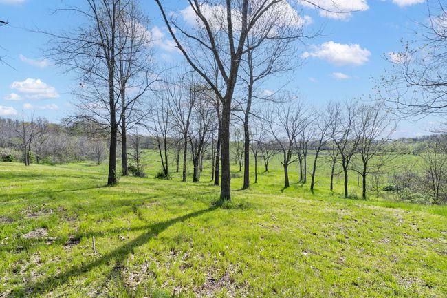 65-print-48-web-or-mls-DSC06329 | Image 58