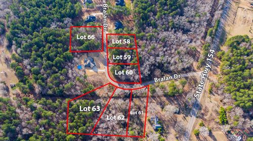 Lot #60 Tdb Bralan, Diana, TX, 75640 | Card Image