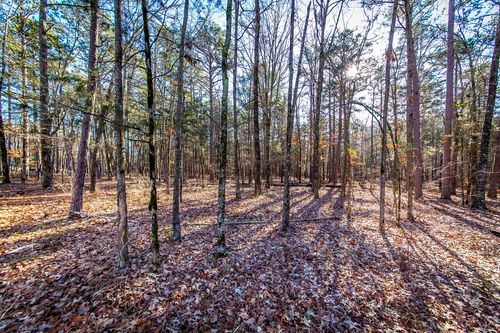 000 Woods Lane, Clinton, AR, 72031 | Card Image