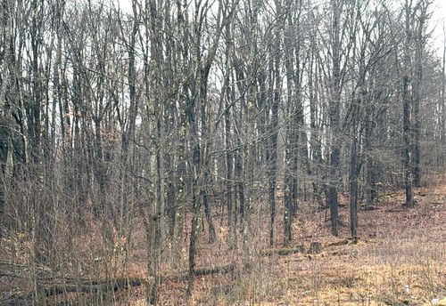 000 Swank St, Irvona, PA, 16656 | Card Image