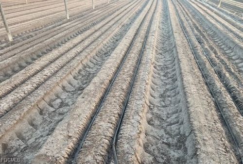 6150 Pringle Ln, Immokalee, FL, 34142-5583 | Card Image