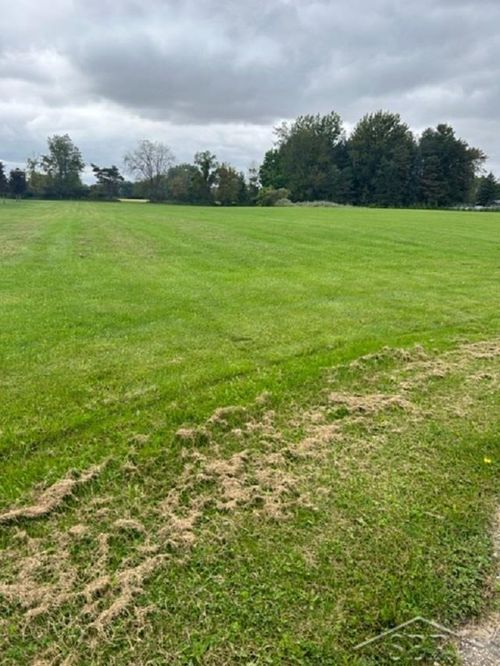 1 Alexander Ln, Vassar, MI, 48768 | Card Image