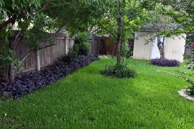 View of yard featuring a storage unit | Image 38