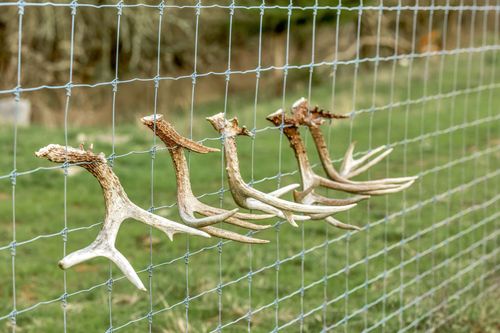 0 Fishing Ford Rd, Belfast, TN, 37019 | Card Image