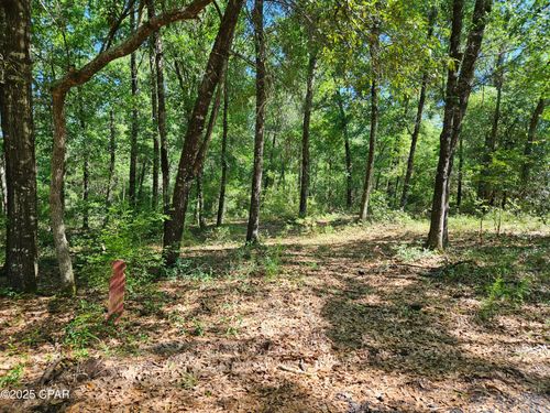 0000 Dove Ct, Chipley, FL, 32428 | Card Image