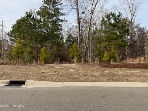 3422 Belle Meade Way Ne, Leland, NC, 28451-1918 | Card Image