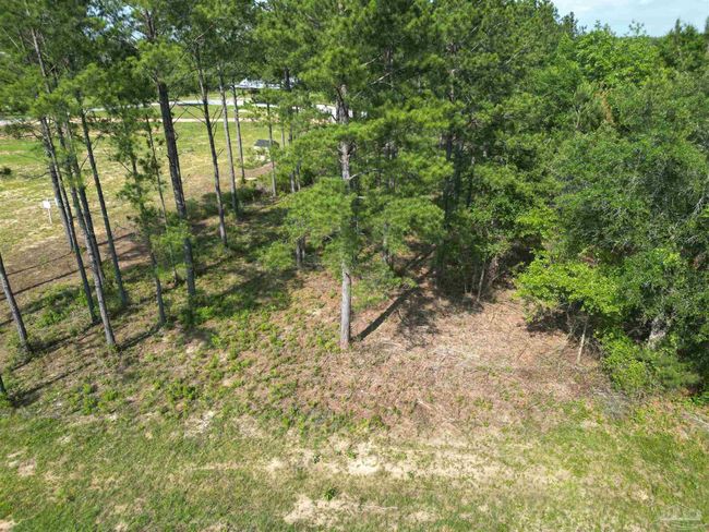 7724 Tidwell Rd, Home with 0 bedrooms, 0 bathrooms and null parking in Pace FL | Image 9
