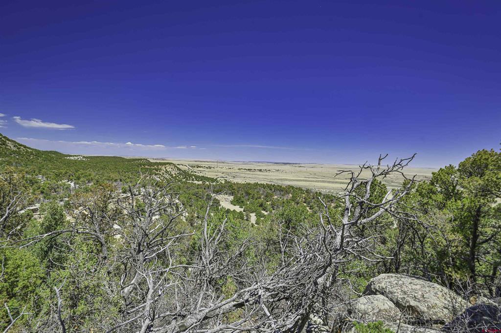 Land in Aguilar 5
