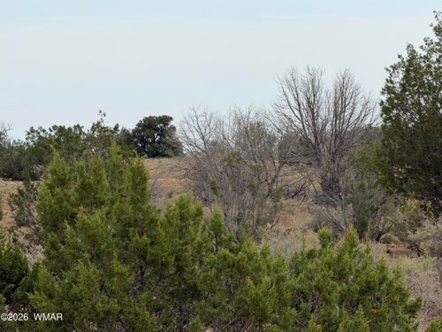 6-1037 Mira Rd, Heber, AZ, 85928-5908 | Card Image