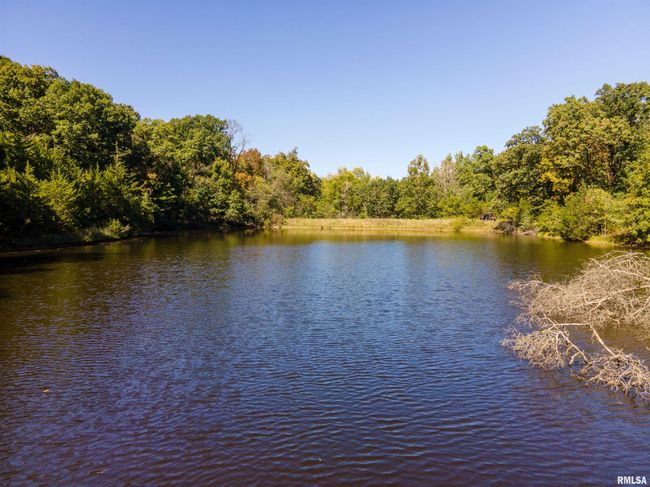 27232 215 Th St, Home with 5 bedrooms, 4 bathrooms and null parking in Canton MO | Image 39