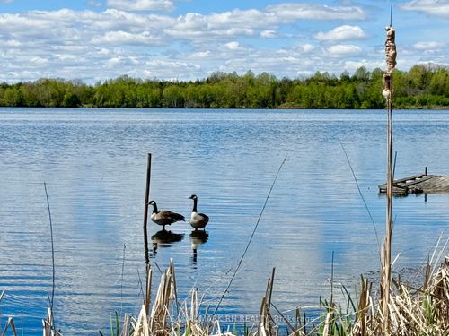 15-523 Island View Rd, Roseneath, ON, K0K2X0 | Card Image
