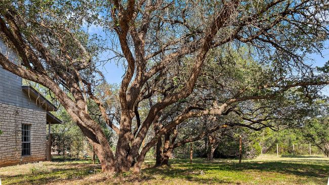 View of yard | Image 13