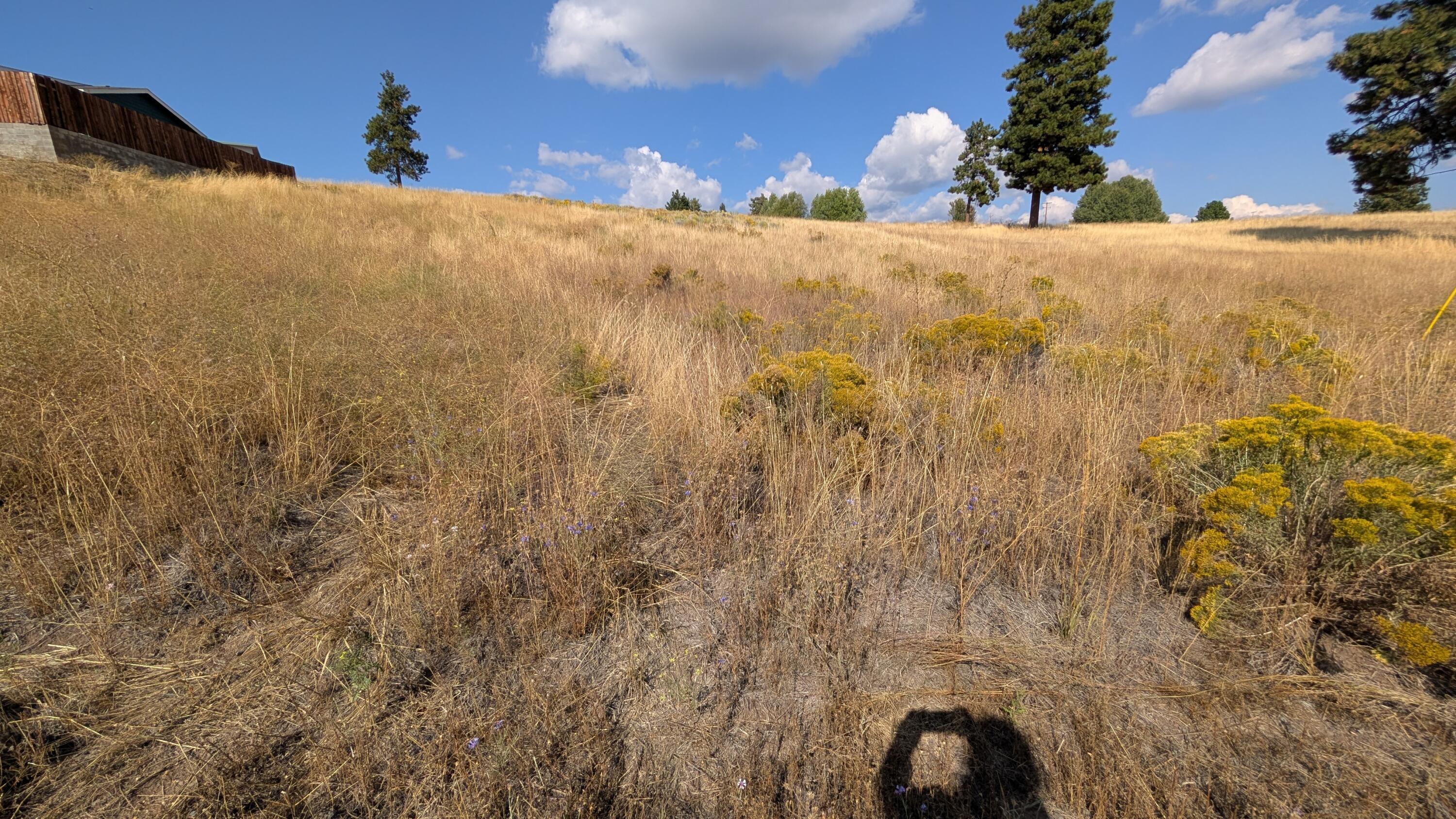 Land in Chiloquin 2
