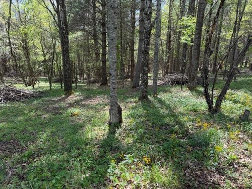 TBD Crestview Dr W, Creston, NC, 28615 | Card Image