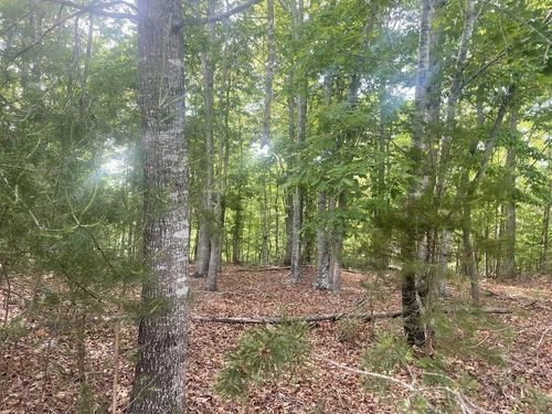 Lot 19 Robin Ridge Ct, Pittsville, VA, 24139 | Card Image