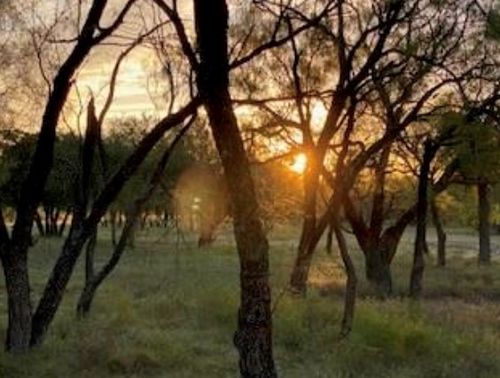 495 Buffalo Creek Drive (Lot 95) Drive, Evant, TX, 76525 | Card Image