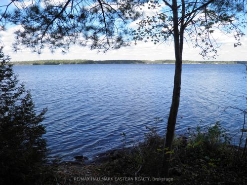 1420 Island 76 N/A, Trent Lakes, ON, K0L2H0 | Card Image