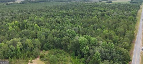 0 Chauncey Rhine Hwy, Chauncey, GA, 31011 | Card Image