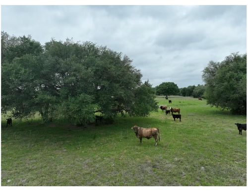 LOT 1 TBD County Road 127, Ledbetter, TX, 78946 | Card Image