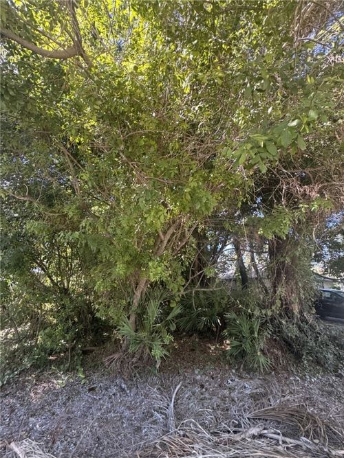 1115 15th Ave Sw, Vero Beach, FL, 32962-5320 | Card Image