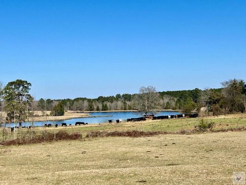 1805 County Road 3778, Queen City, TX, 75572 | Card Image