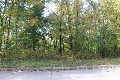 TBD David St, Jefferson City, MO, 65101 | Card Image