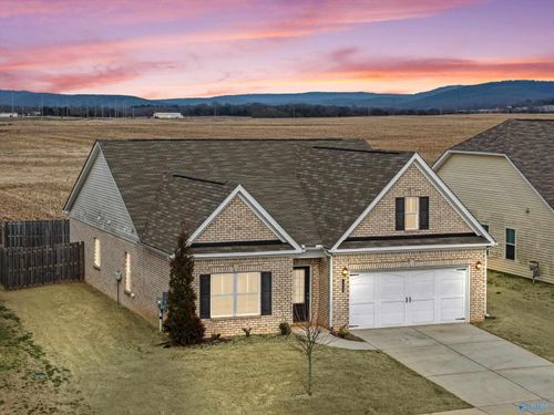 113 Story Ray Dr, New Market, AL, 35761-6500 | Card Image