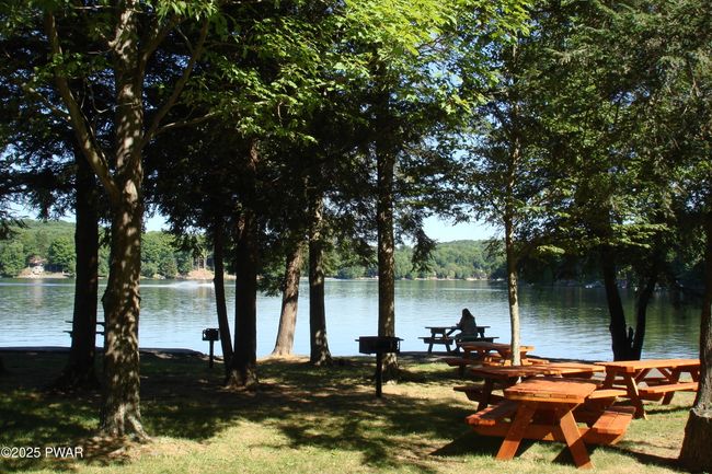 Picnic | Image 20