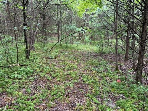 08 Teeters Rd, Morrison, TN, 37357 | Card Image
