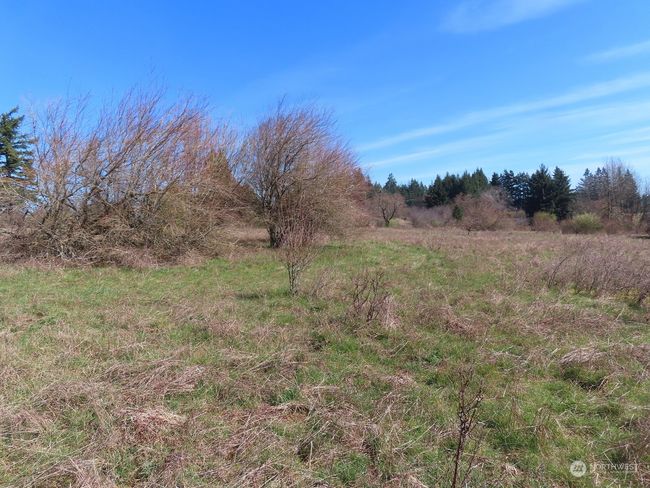B - 107 Avery Rd W, Home with 0 bedrooms, 0 bathrooms and null parking in Napavine WA | Image 30