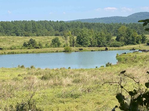 To Be Determine Old Caddo Gap Road, Bonnerdale, AR, 71933 | Card Image