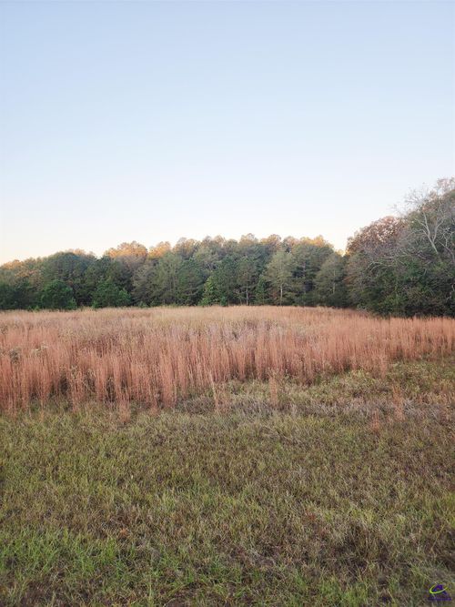 TRACT C-1A LL 2 Kersey Road, Elko, GA, 31025 | Card Image