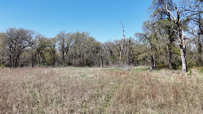 280 Private Road 2162, Home with 0 bedrooms, 0 bathrooms and null parking in Iredell TX | Image 7