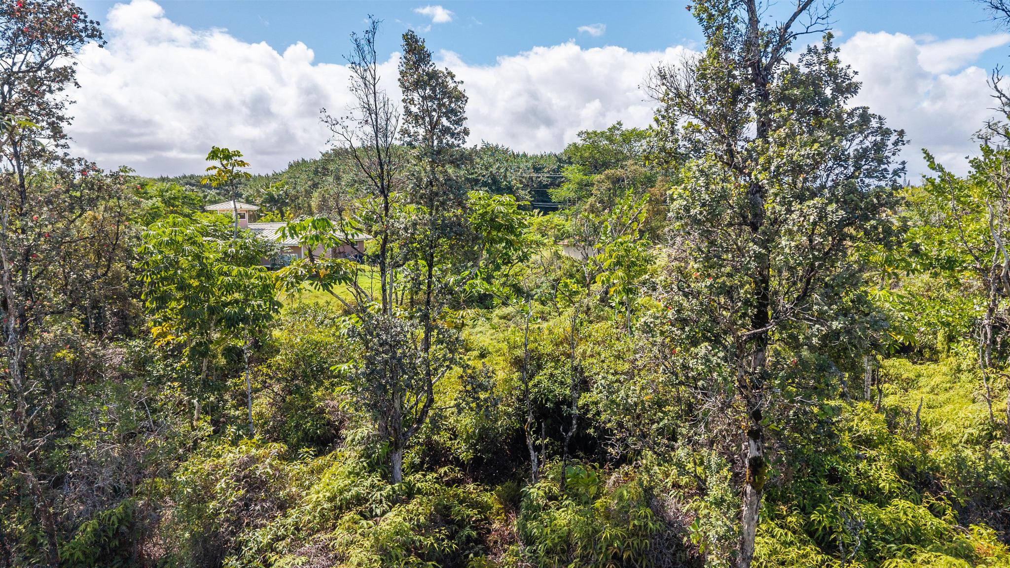 Land in Keaau 5