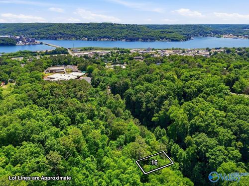 Lot 16 Lusk St, Guntersville, AL, 35976 | Card Image