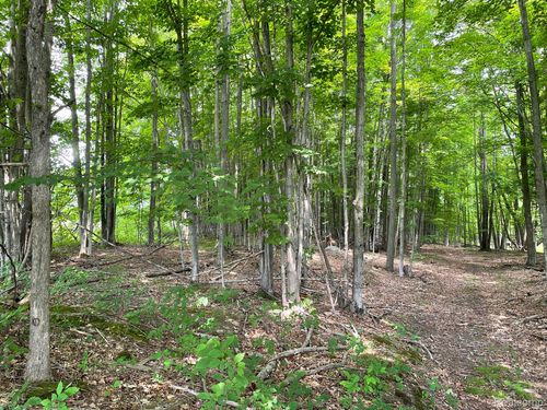 17990 M 32 W, Hillman, MI, 49746-9621 | Card Image