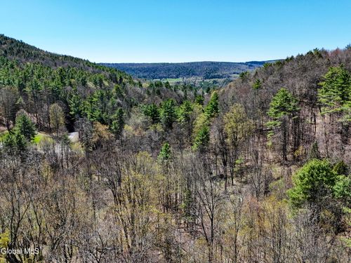 L19 Mary Taylor Road, Middleburgh, NY, 12122 | Card Image