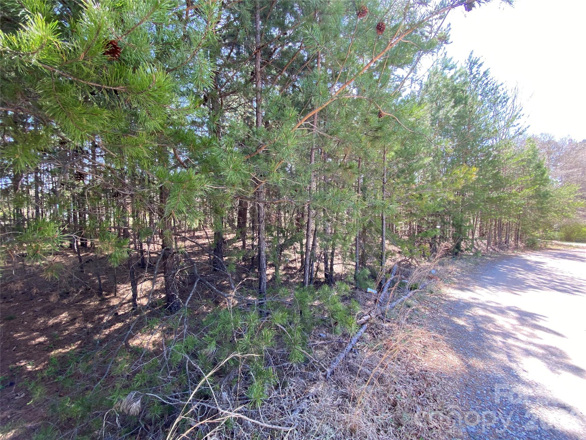Land in Lincolnton