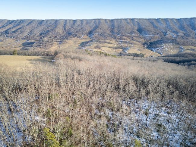 92 Acres Laurel Fork Rd, Home with 0 bedrooms, 0 bathrooms and null parking in Rocky Gap VA | Image 6