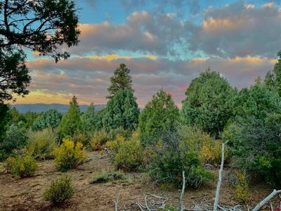 TBD 38 Road, Home with 0 bedrooms, 0 bathrooms and null parking in Mancos CO | Image 2