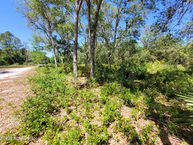 2155 State Road 40, Home with 0 bedrooms, 0 bathrooms and null parking in De Leon Springs FL | Image 78