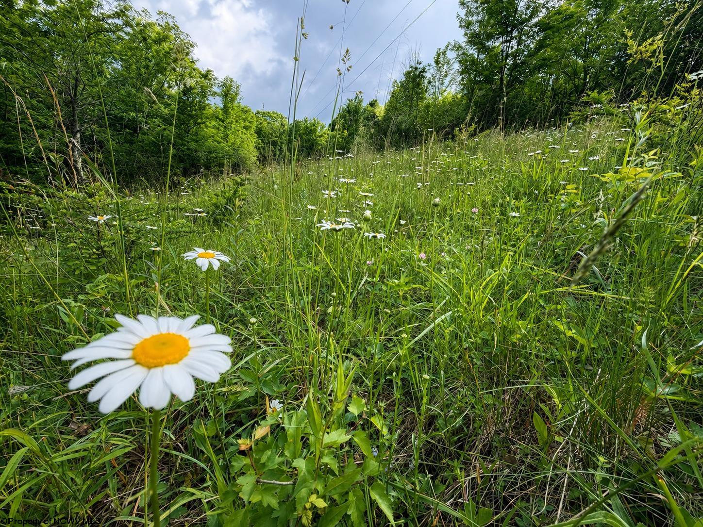 Land in Dryfork 3