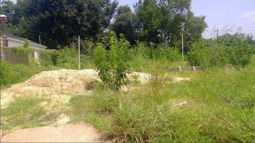 8783 Othello St, Houston, TX, 77029-3353 | Card Image