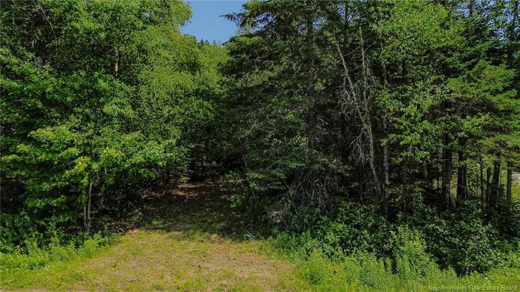 Land in Kingston 2